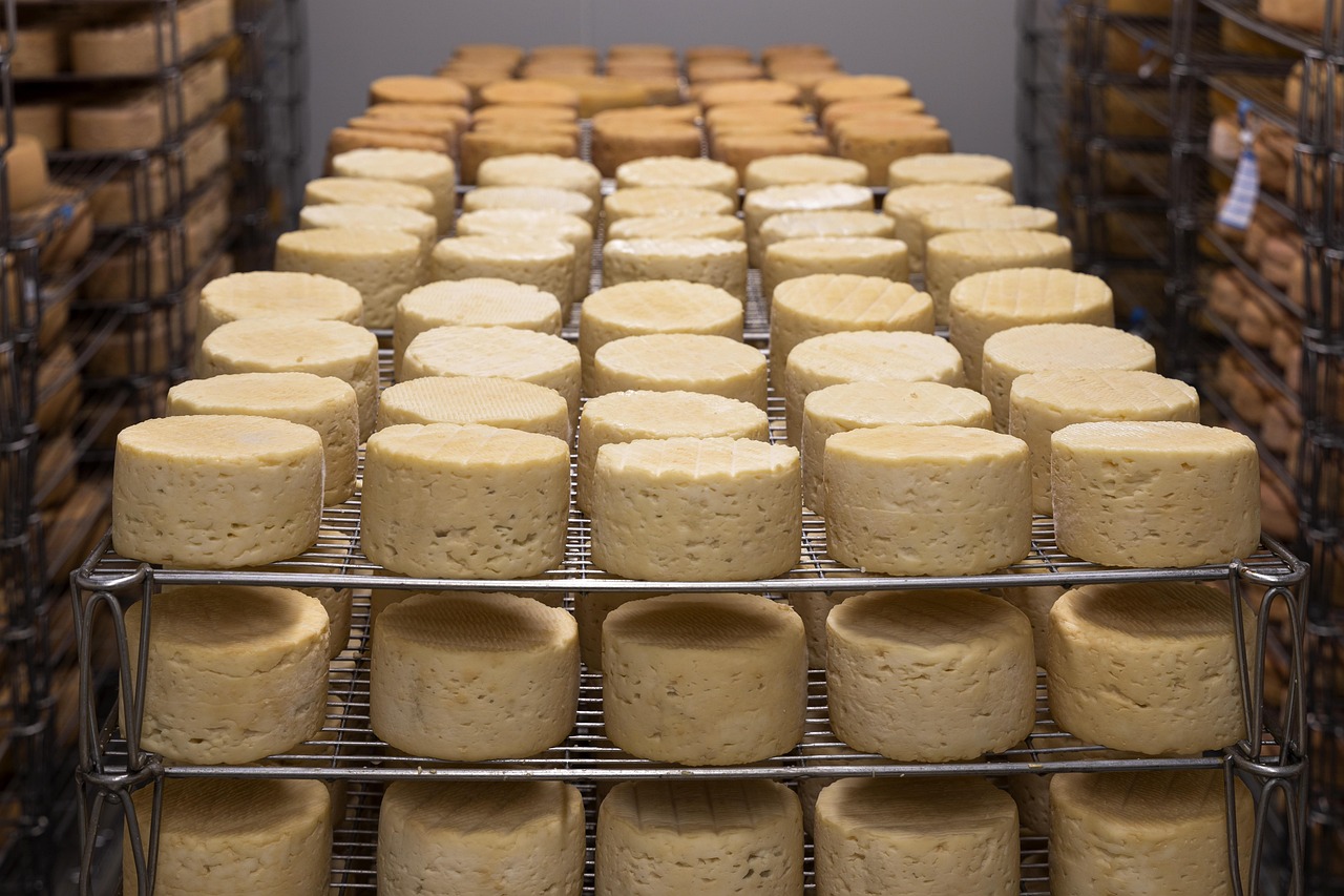 QUEIJO MINAS FRESCAL FAZENDA