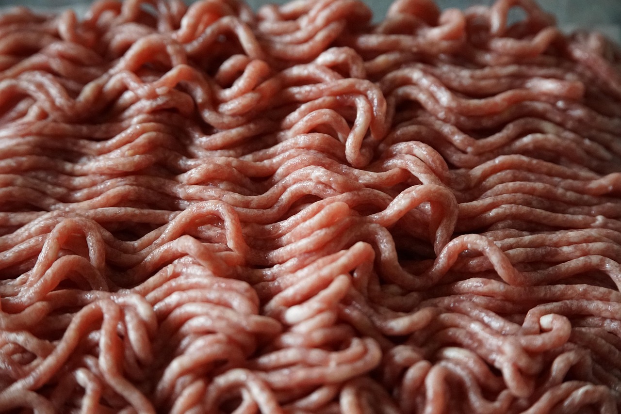 CARNE MOIDA DE PRIMEIRA