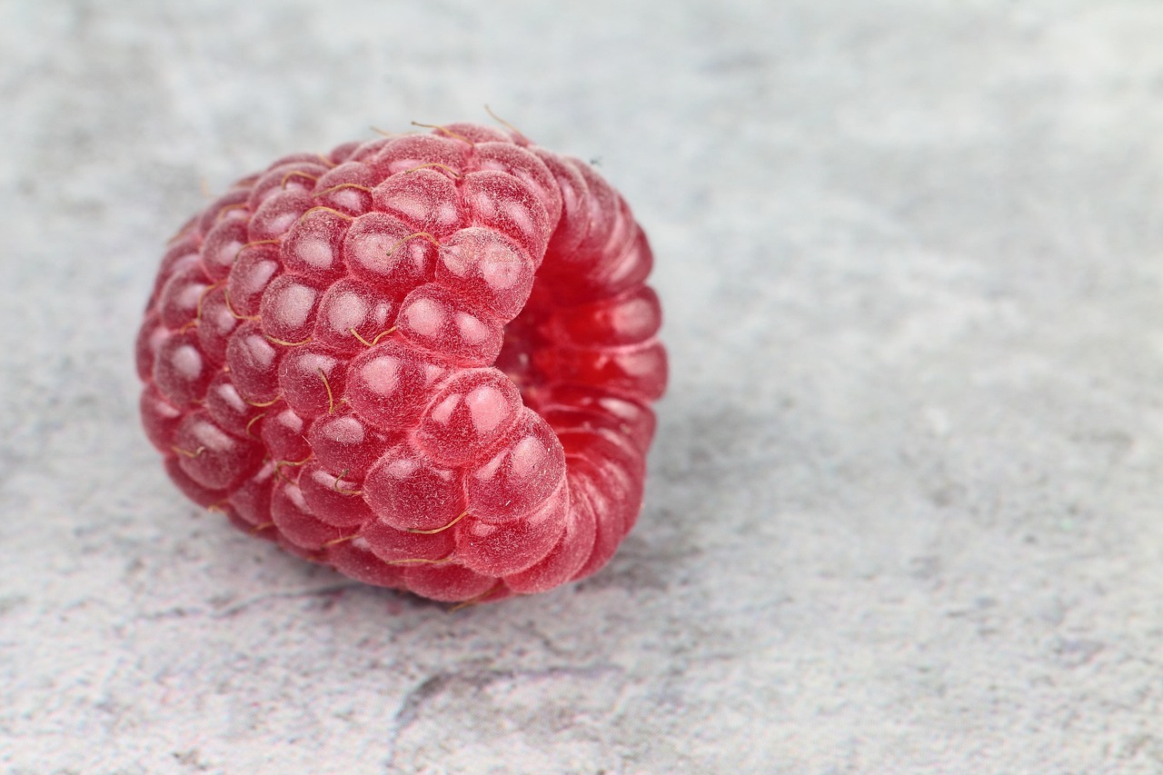 BDJ FRUTA FRACIONADA 300G