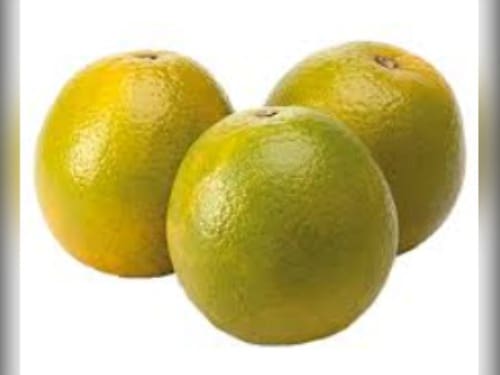 LARANJA PERA RUMO KG
