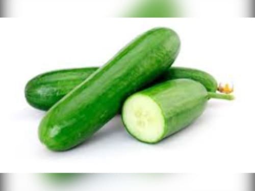 PEPINO COMUM KG
