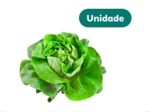 AGRIAO HIDROPONICO UN.