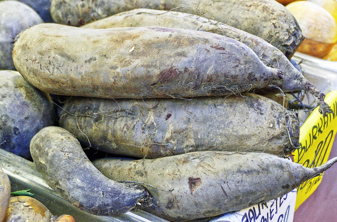BATATA DOCE BRANCA KG