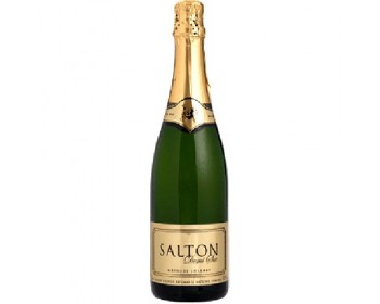 BEB ESPUM SALTON DEMI SEC 750ML RN