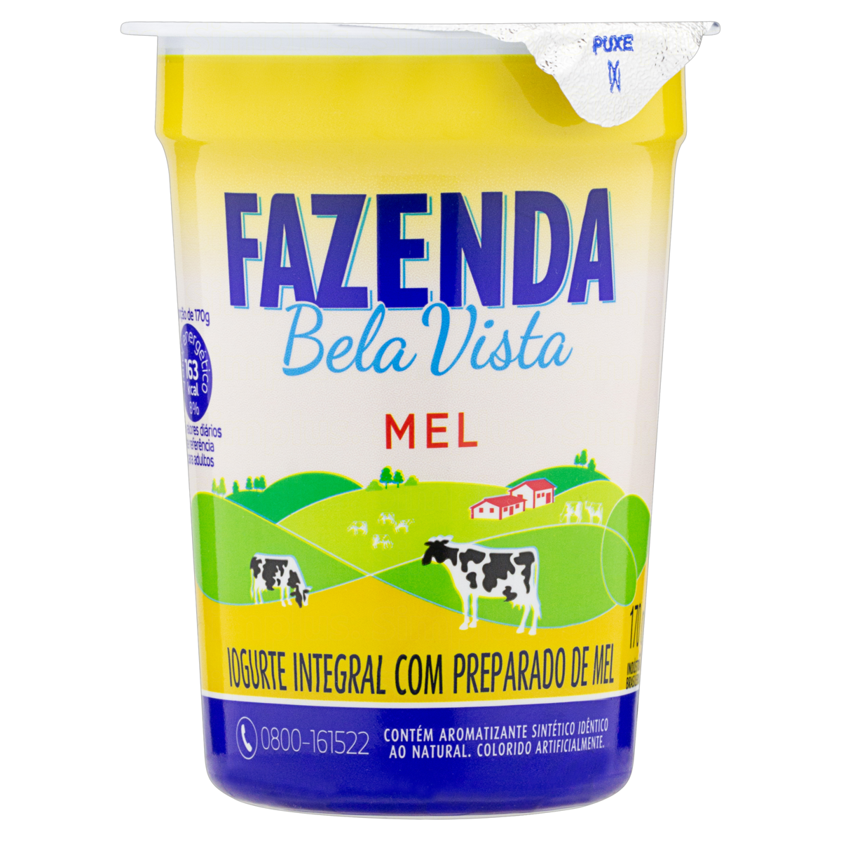 IOGURTE MEL FAZENDA 170G